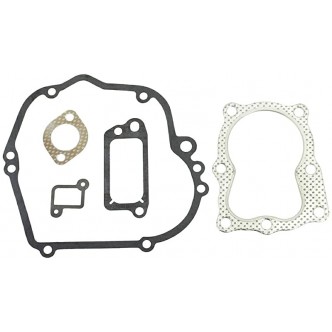 Set garnituri motor Briggs & Stratton (490563)